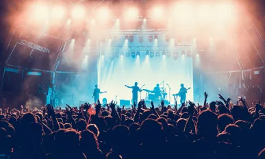 The crowd in a concert